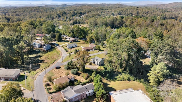 birds eye view of property featuring a mountain view