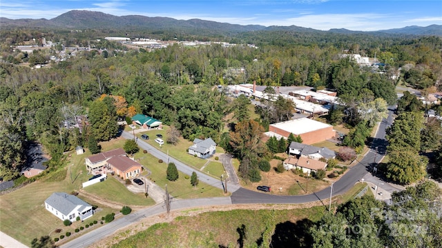 birds eye view of property featuring a mountain view