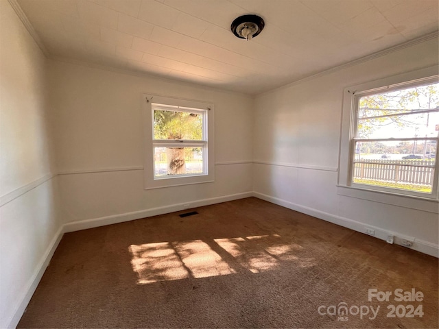 carpeted spare room with ornamental molding