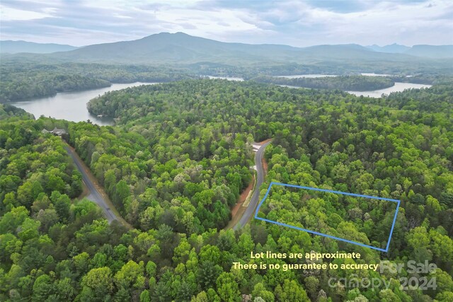 619 High Trail Dr, Nebo, NC 28761 - photo 1