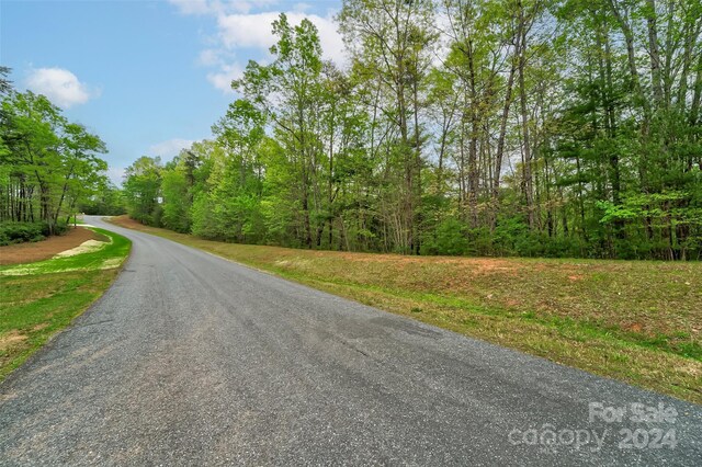 619 High Trail Dr, Nebo, NC 28761 - photo 4