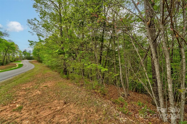 619 High Trail Dr, Nebo, NC 28761 - photo 5