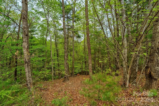 619 High Trail Dr, Nebo, NC 28761 - photo 6