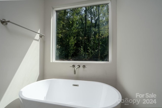 bathroom featuring a washtub