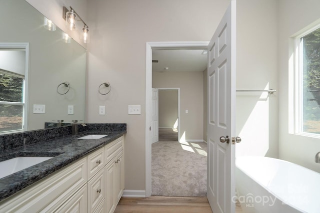 bathroom featuring wood-type flooring, a tub, and vanity