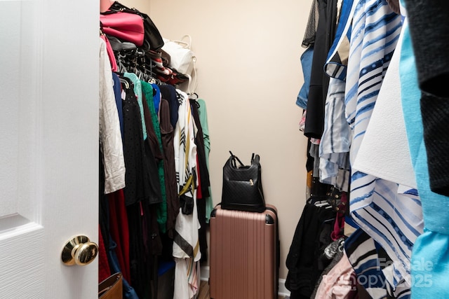 view of walk in closet