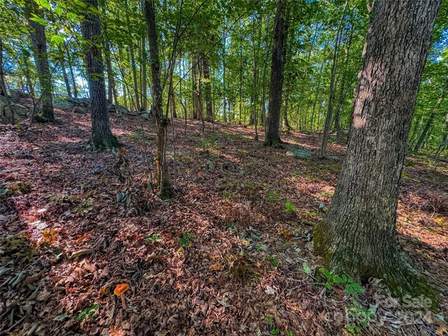 535 Dockside Ter, Denton, NC 27239