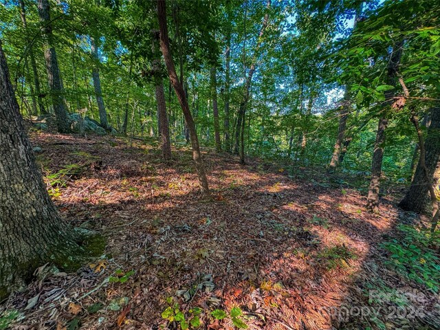 535 Dockside Ter, Denton, NC 27239