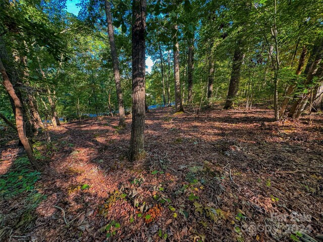 535 Dockside Ter, Denton, NC 27239
