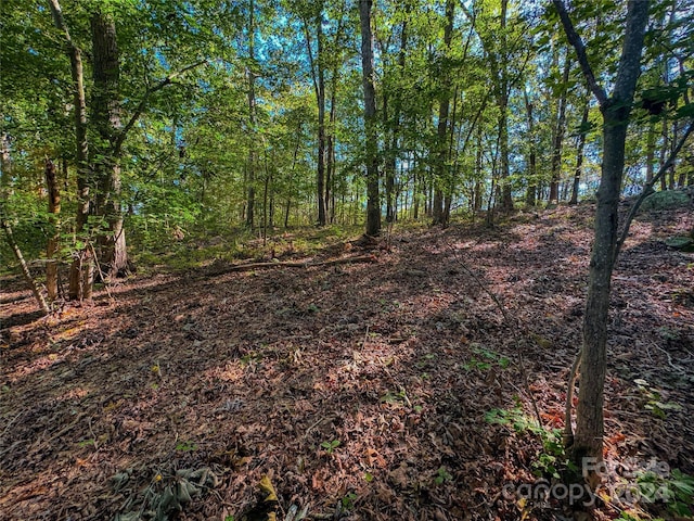 535 Dockside Ter, Denton, NC 27239