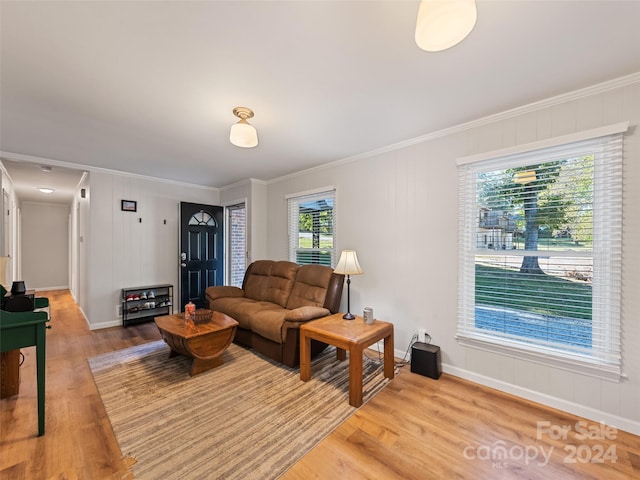 living room featuring crown molding, light hardwood / wood-style flooring, and a healthy amount of sunlight