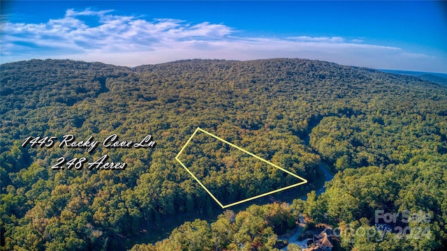 1445 Rocky Cove Ln, Denton NC, 27239 land for sale