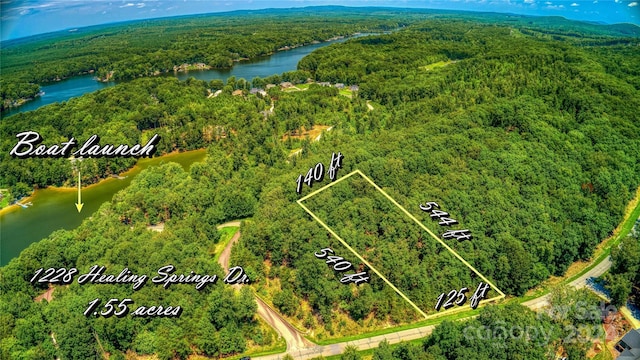 1228 Healing Springs Dr, Denton, NC 27239