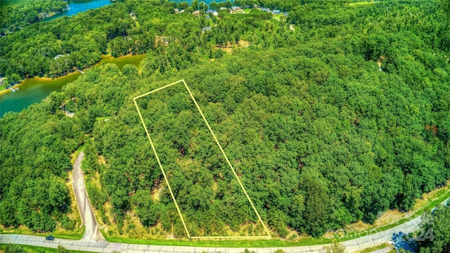 1228 Healing Springs Dr, Denton, NC 27239