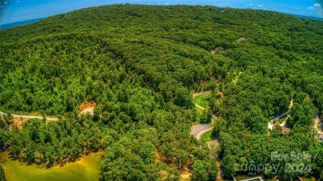 1228 Healing Springs Dr, Denton, NC 27239