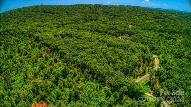 1228 Healing Springs Dr, Denton, NC 27239