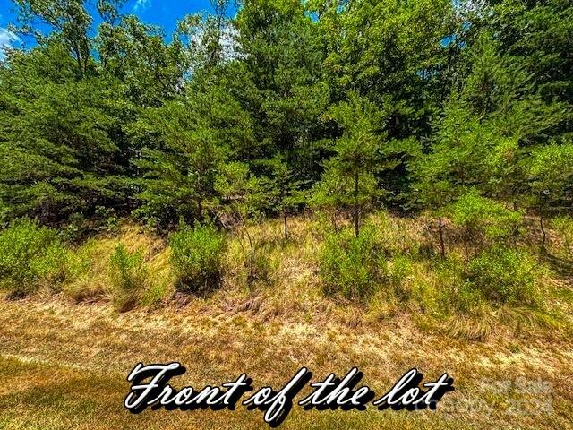 1228 Healing Springs Dr, Denton, NC 27239