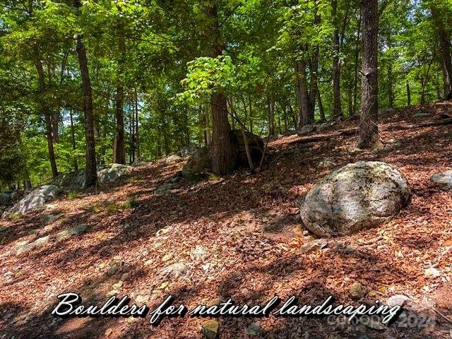 1228 Healing Springs Dr, Denton, NC 27239