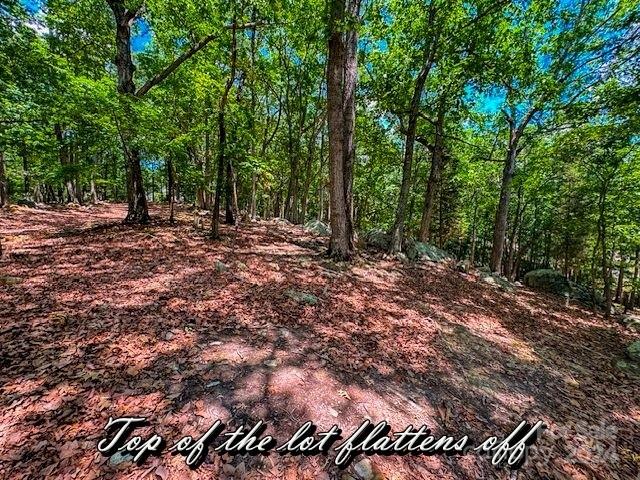 1228 Healing Springs Dr, Denton, NC 27239