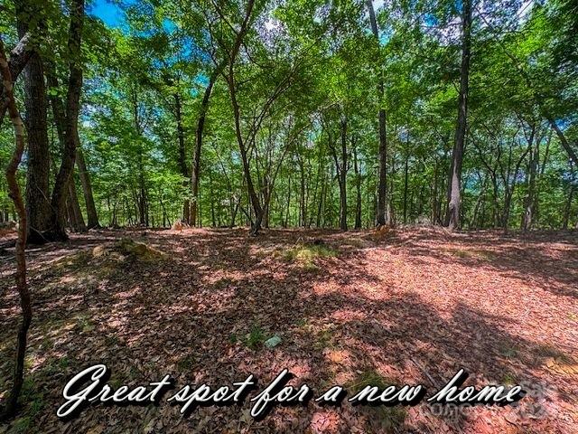 1228 Healing Springs Dr, Denton, NC 27239