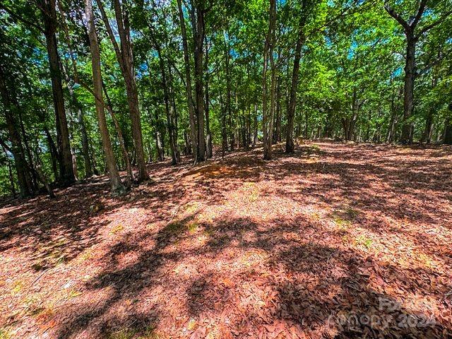 1228 Healing Springs Dr, Denton, NC 27239