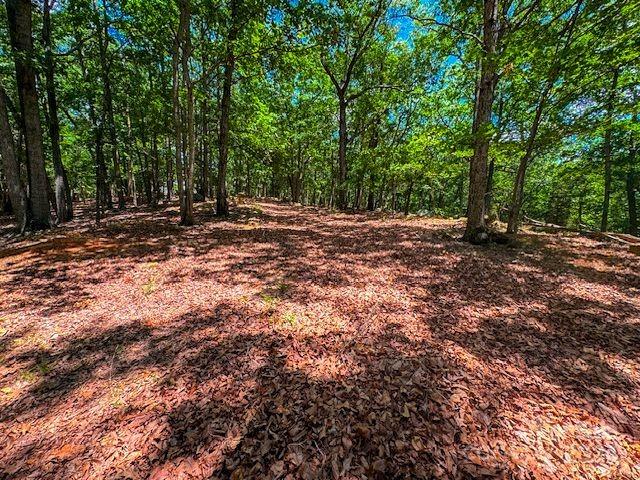 1228 Healing Springs Dr, Denton, NC 27239