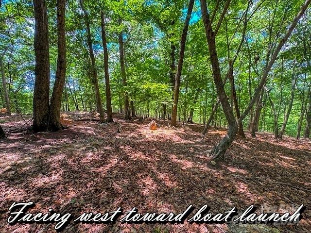 1228 Healing Springs Dr, Denton, NC 27239
