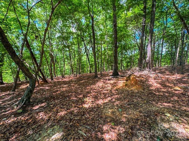 1228 Healing Springs Dr, Denton, NC 27239