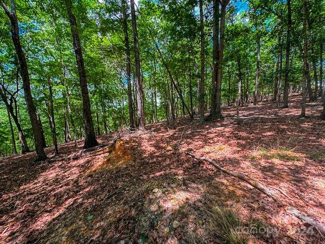 1228 Healing Springs Dr, Denton, NC 27239
