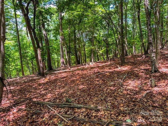 1228 Healing Springs Dr, Denton, NC 27239