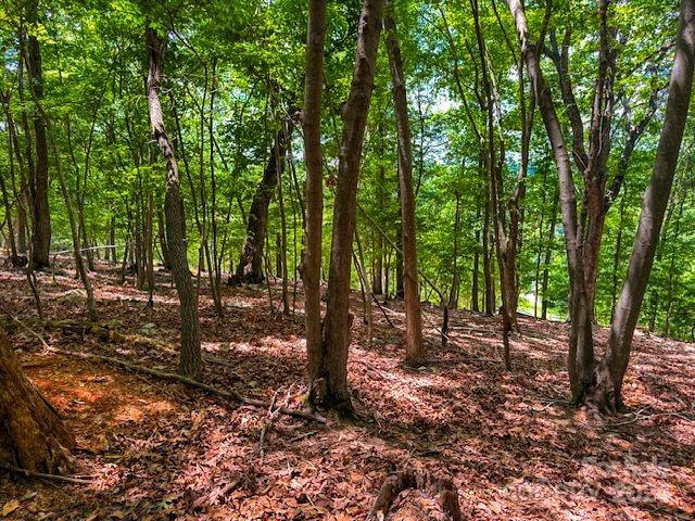 1228 Healing Springs Dr, Denton, NC 27239
