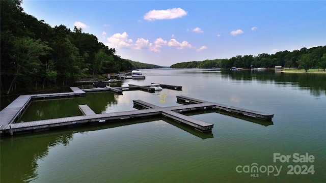 1228 Healing Springs Dr, Denton, NC 27239