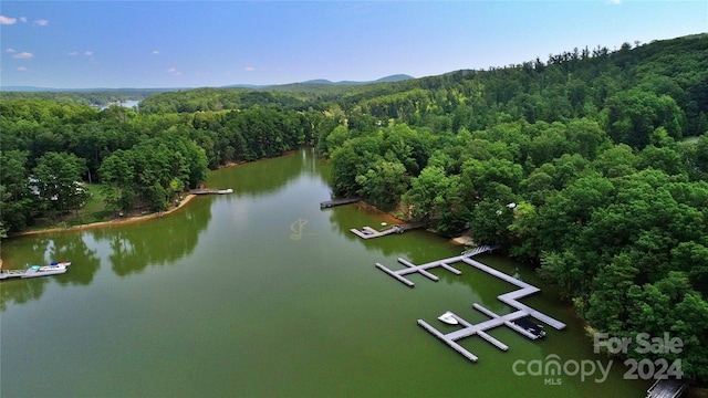 1228 Healing Springs Dr, Denton, NC 27239