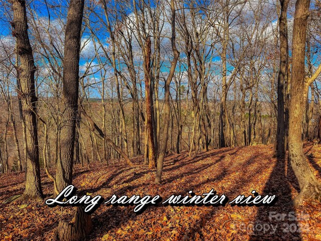 1228 Healing Springs Dr, Denton, NC 27239