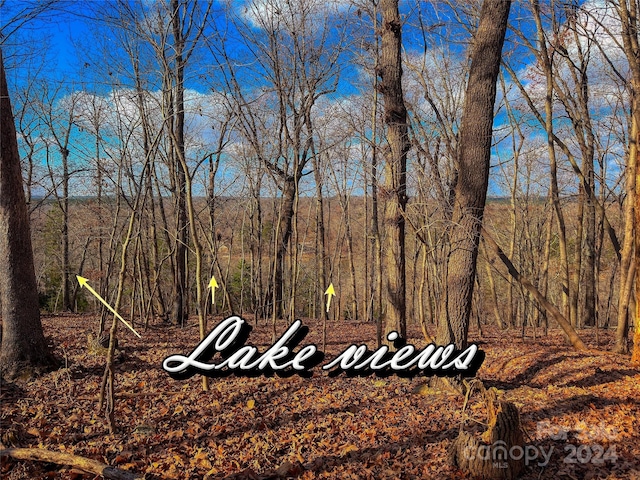 1228 Healing Springs Dr, Denton, NC 27239