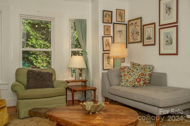 living area featuring ornamental molding and a wealth of natural light