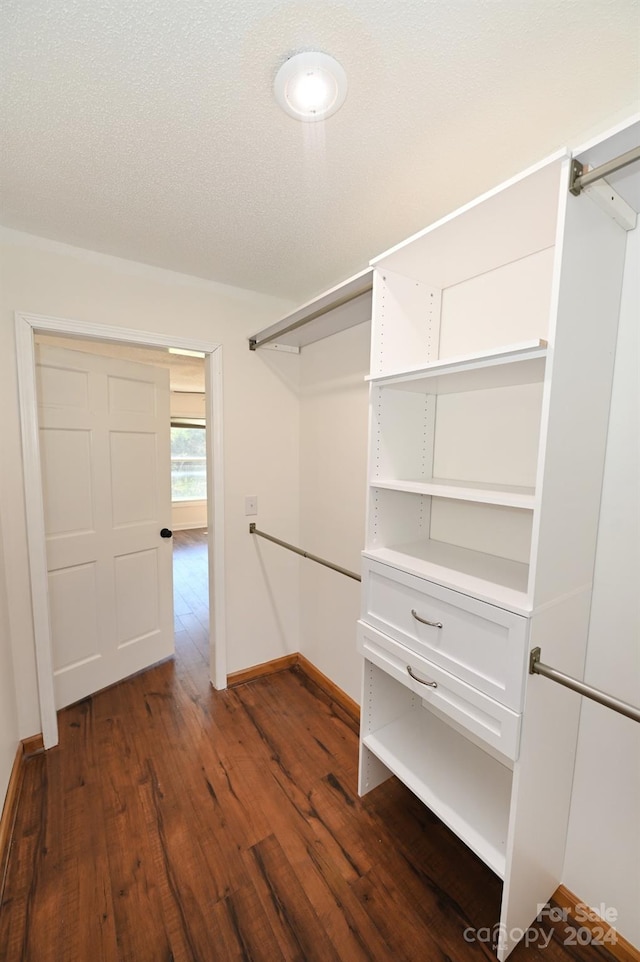 spacious closet with dark hardwood / wood-style flooring