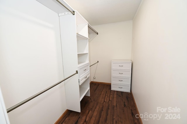 spacious closet featuring dark hardwood / wood-style flooring