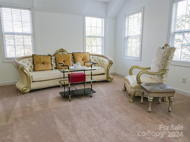 living room with carpet and plenty of natural light