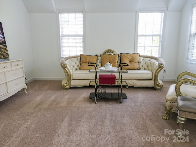 living room with carpet and a wealth of natural light