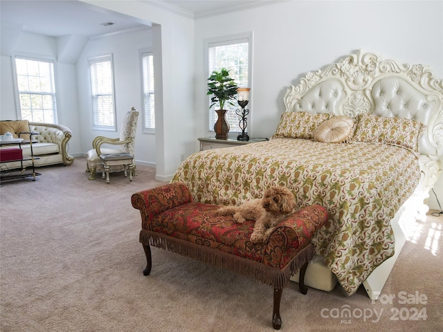 bedroom featuring crown molding and carpet floors