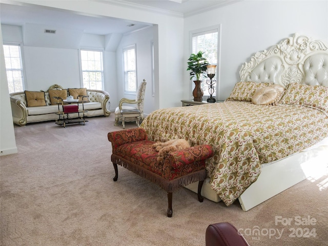 carpeted bedroom featuring ornamental molding and multiple windows