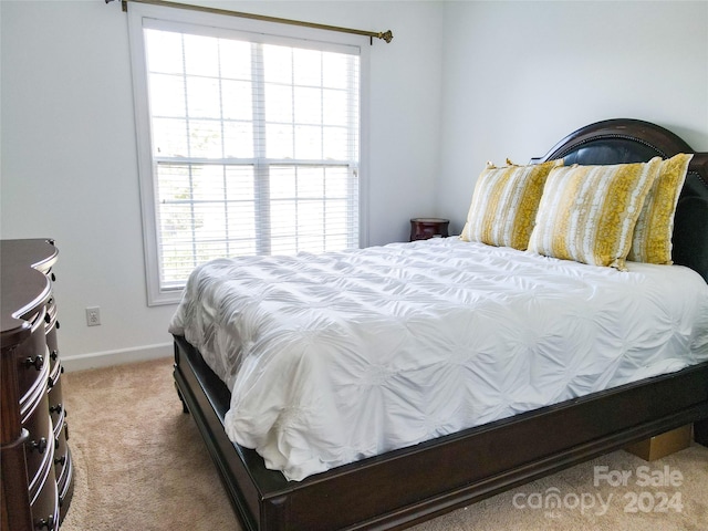 bedroom featuring carpet and multiple windows