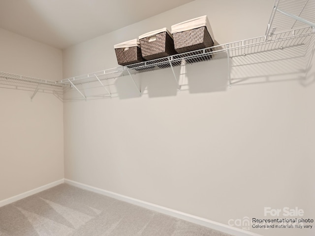 spacious closet with carpet flooring