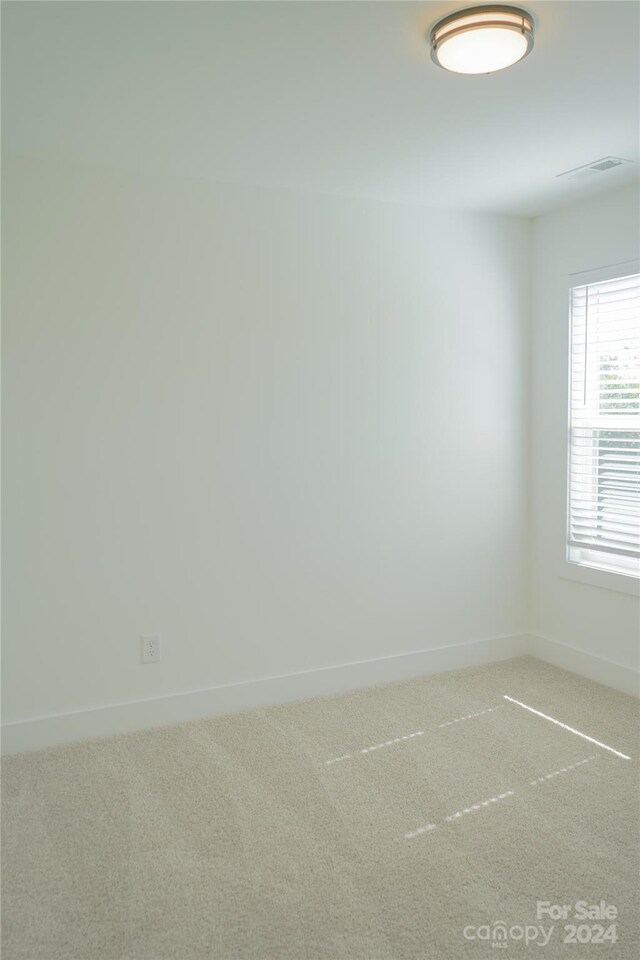 spare room featuring carpet floors