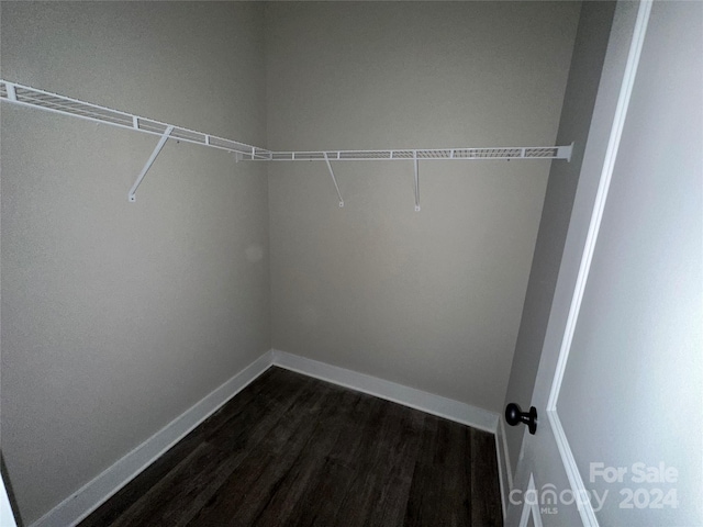 walk in closet with dark hardwood / wood-style flooring