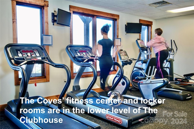 exercise room featuring a healthy amount of sunlight and a paneled ceiling