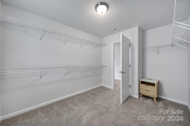 walk in closet featuring carpet flooring