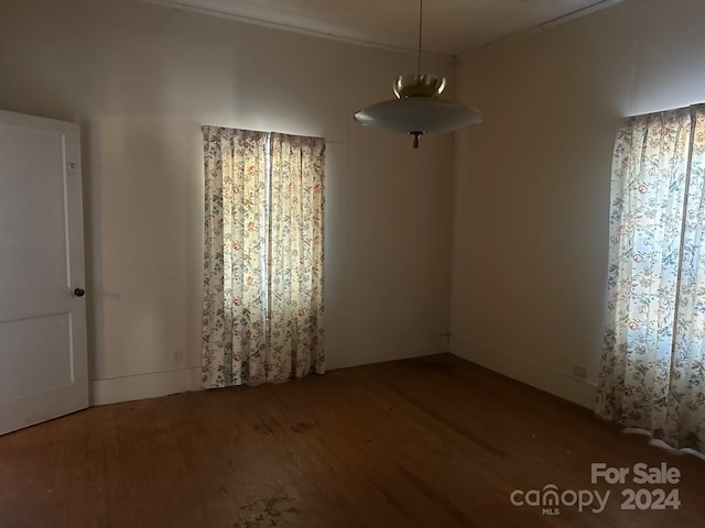 empty room featuring wood-type flooring