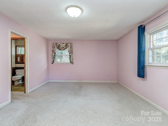 empty room featuring light carpet and a textured ceiling